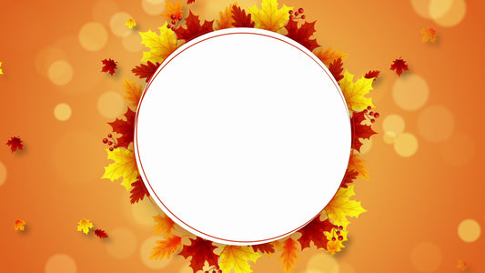 Fall 2 Still Vol6