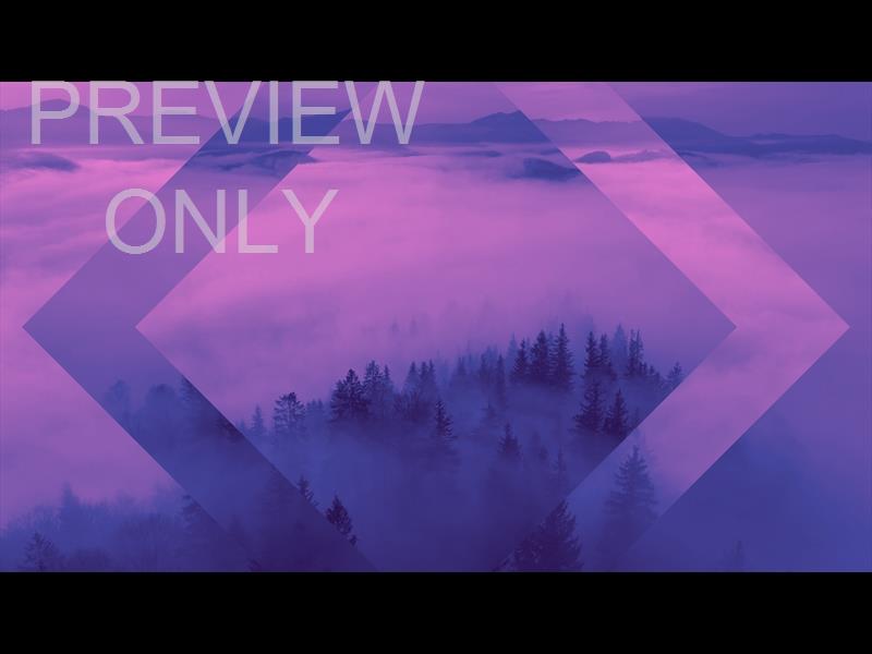 Misty Pines Purple Blue Still