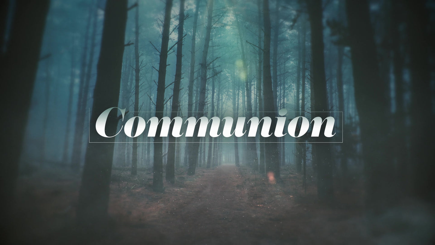 Moody Autumn Communion Still