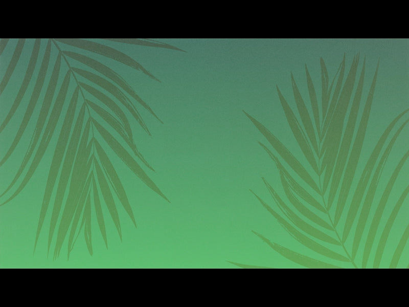 Risen Palms 1