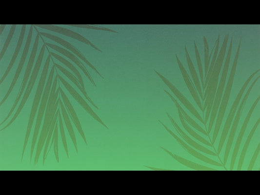 Risen Palms 1