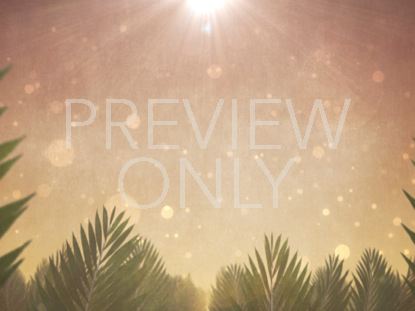 Palm Sunday Epic Energy