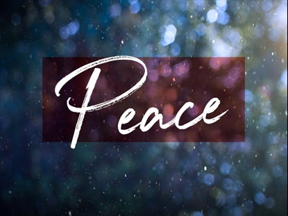 Winter Snow Peace
