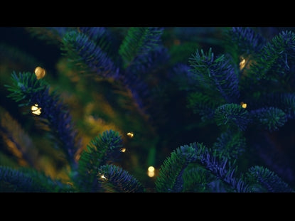 Christmas Pines Blue Green Close