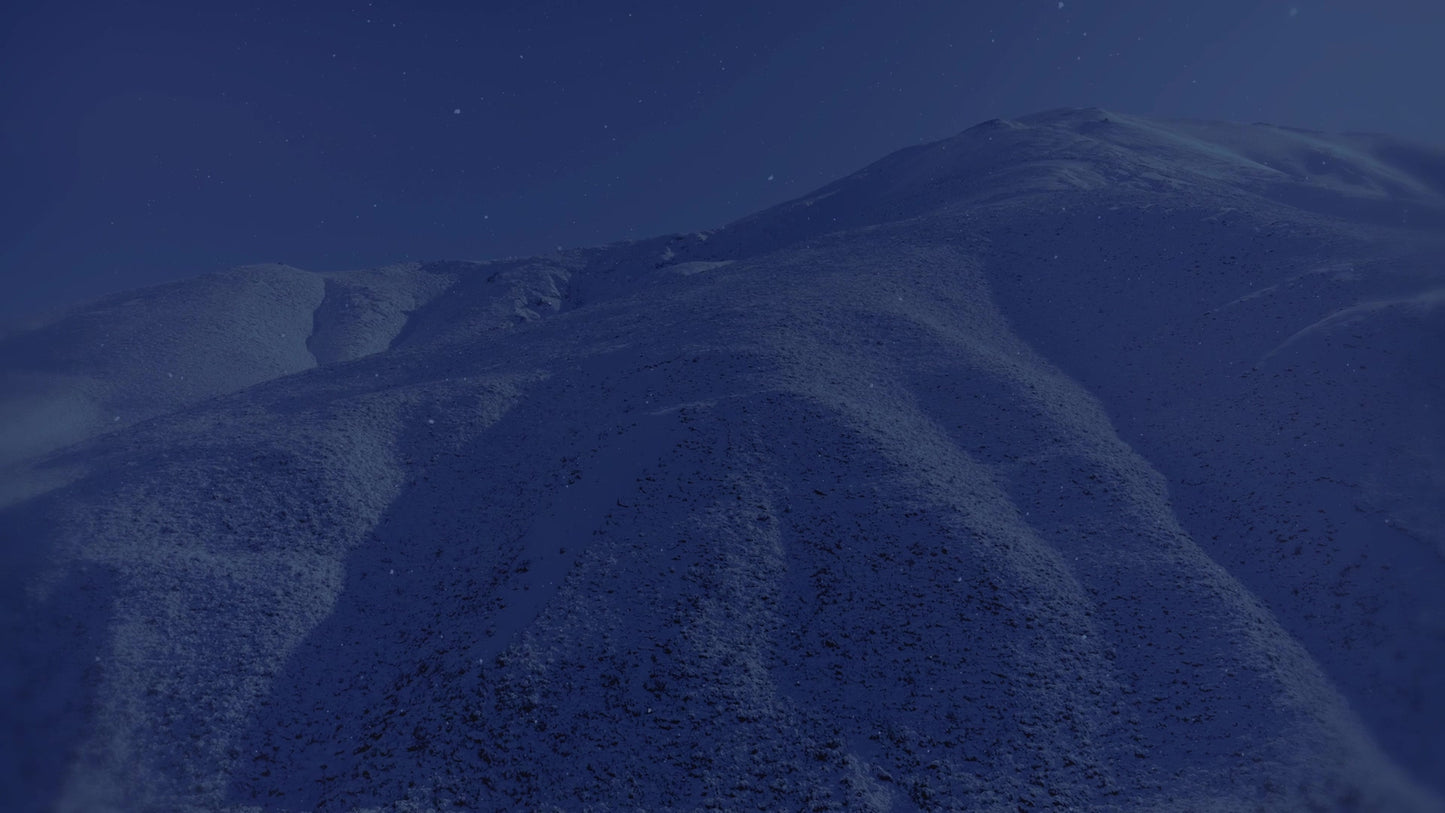 Deep Winter 3 Tint Still