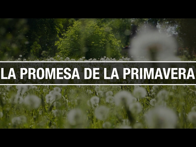 La Promesa De La Primavera