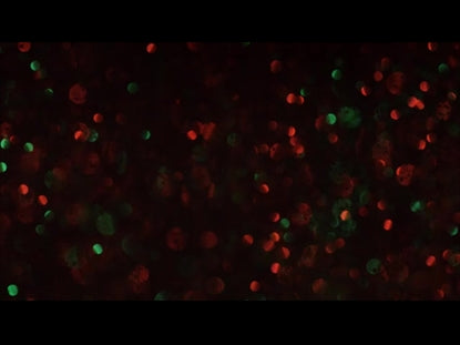 Christmas Glitter Fast Lights