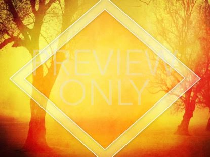 Autumn Forest 7 Still