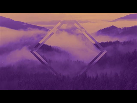 Misty Pines Purple Gold