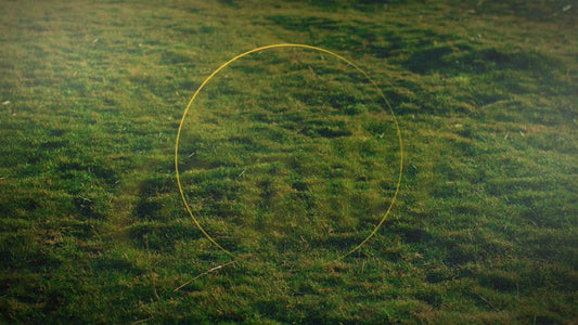 Heaven And Earth Easter 02
