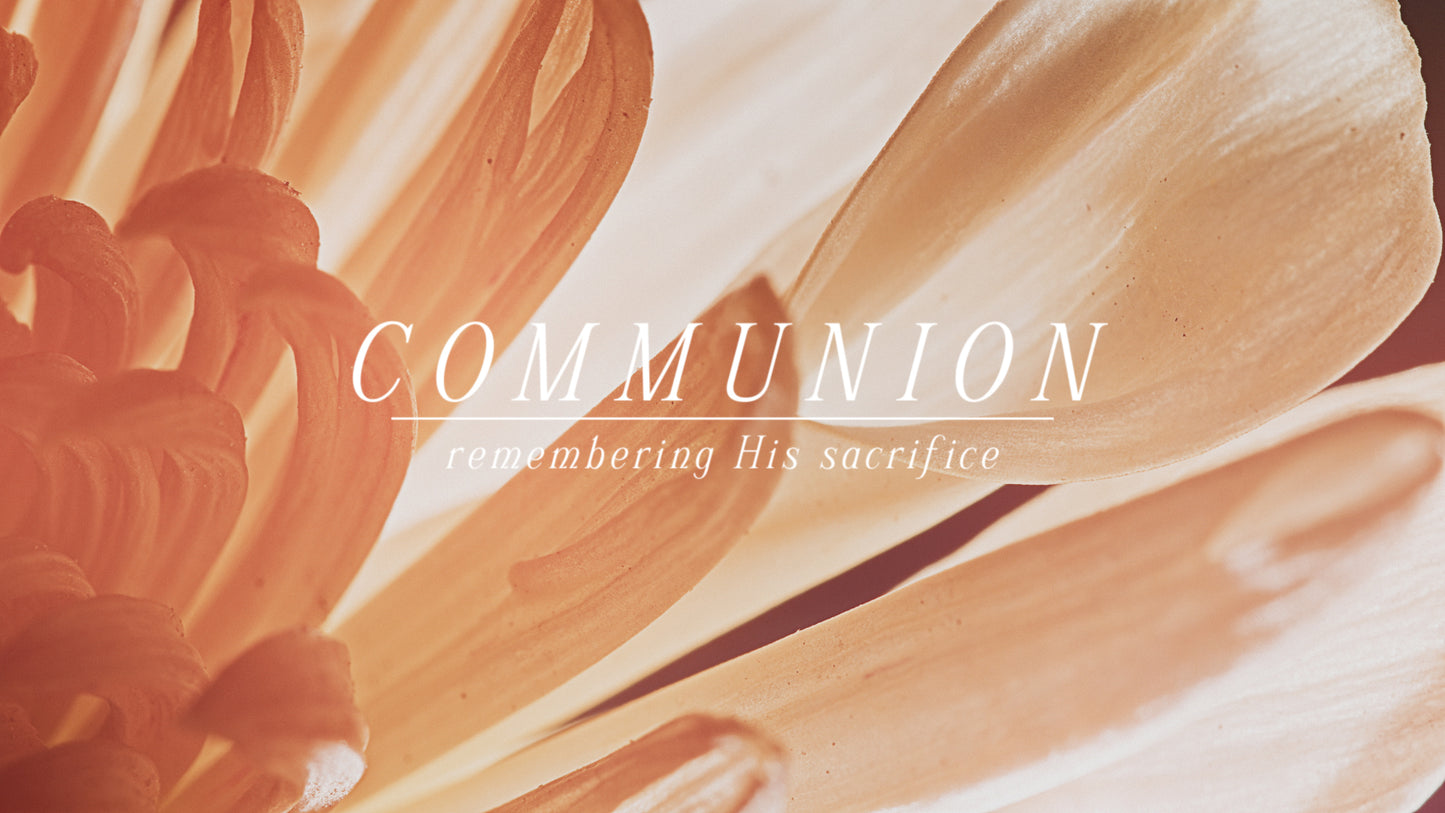 Flowers Of The Field Still Communion