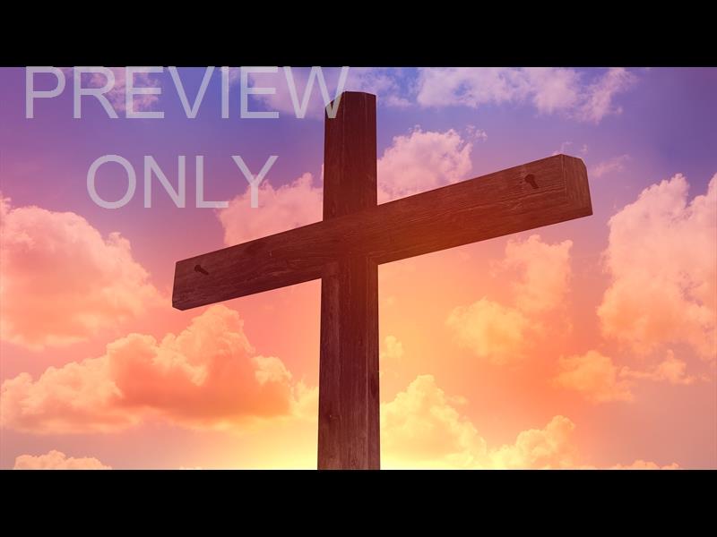 Easter Sunday: 5 Still