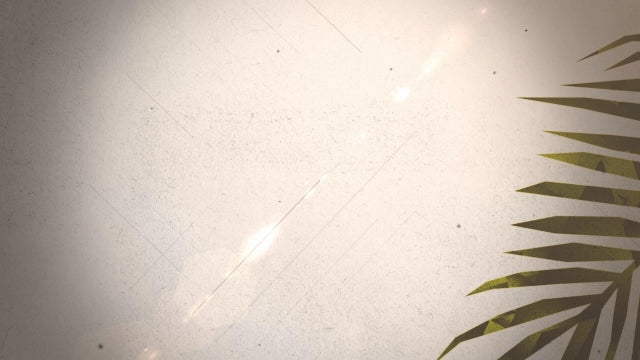 Palm Sunday Worship 03