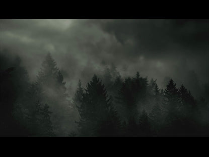 Overcast Forest Plain