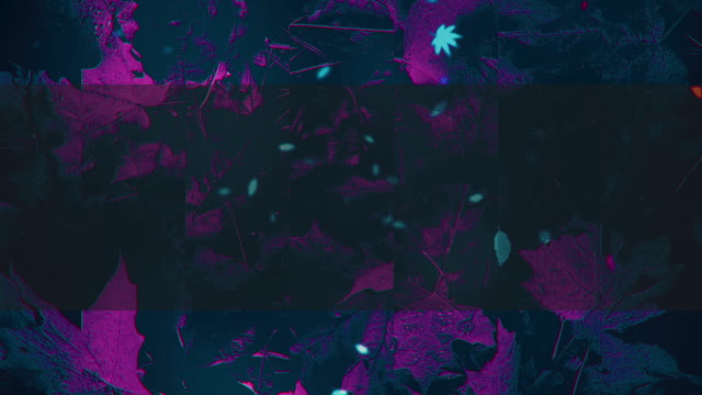 Autumn Memories 2 Alt