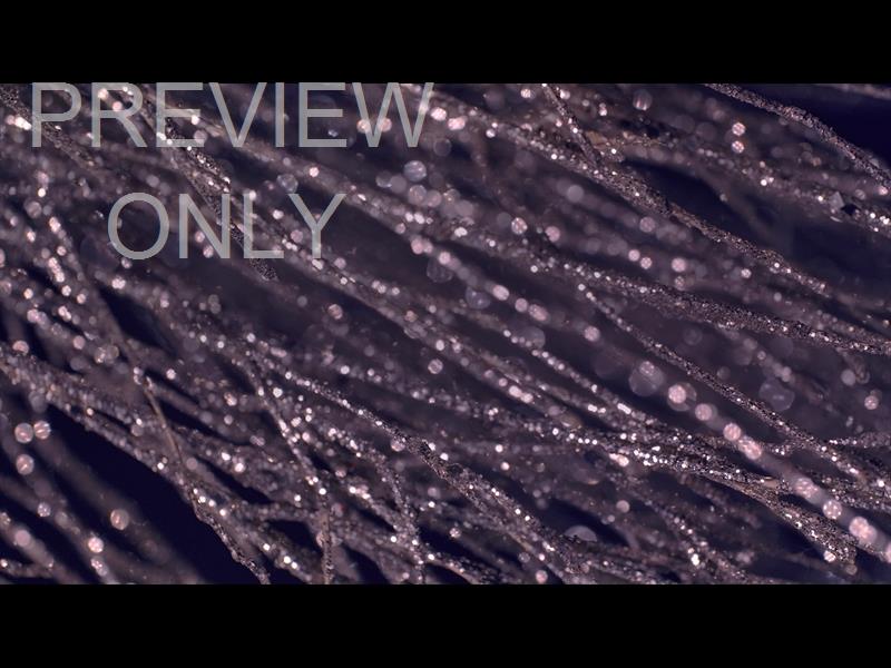 Christmas Gold 3 Still