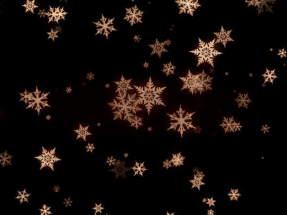 Christmas Snowflakes 4