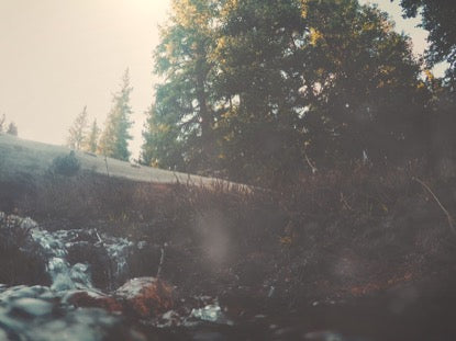Mountain Hike Stream