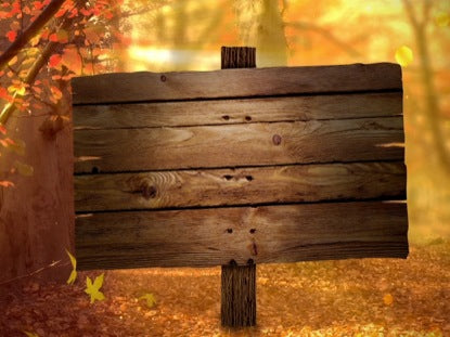 Fall Forest Blank