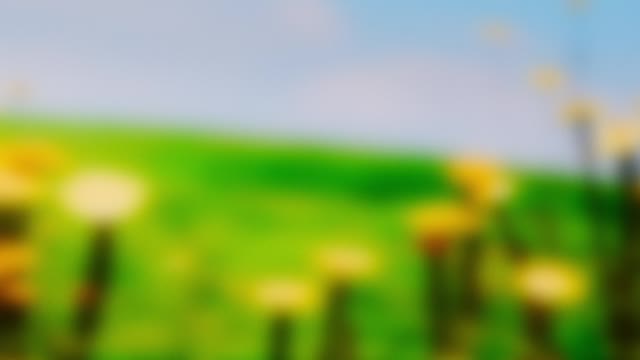 Springtime Bloom 19