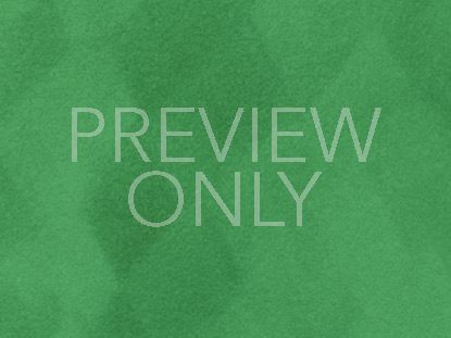Bold Impressions Still 5