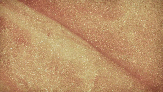 Deuteronomy Background 02