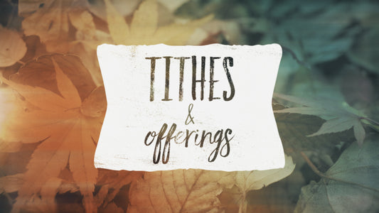 Fallen Leaves Tithes And Offerings