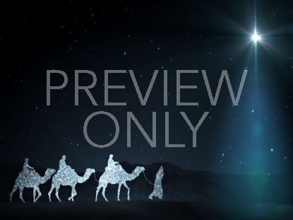 Starlight Nativity 4
