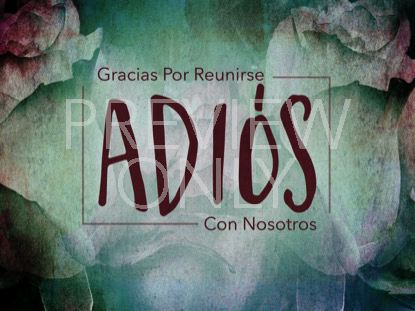 Mothers Day Roses Closing Still -