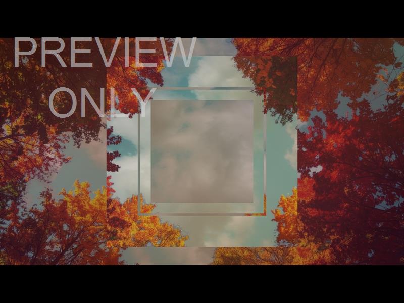 Fall Trees 3 Remix Still
