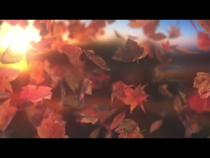 Harvest Falling 01