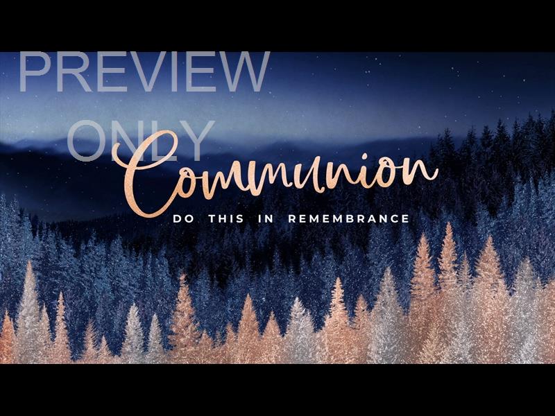 Sparkling Trees Communion Still