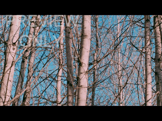 High Heavens Still 06