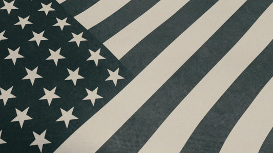 Vintage Waving American Flag 05