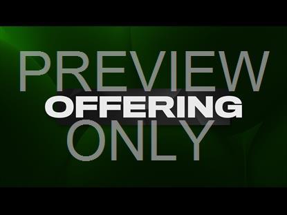 Livestream Offering Title Screen Green