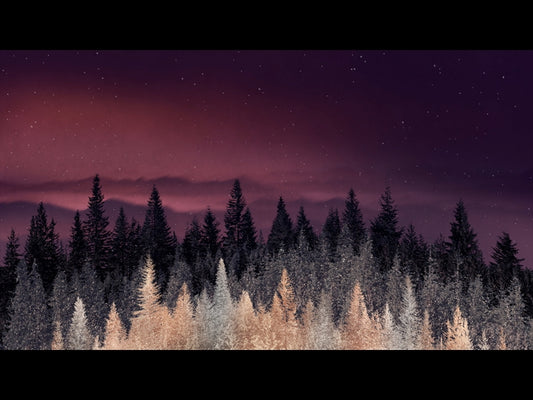 Sparkling Trees 8
