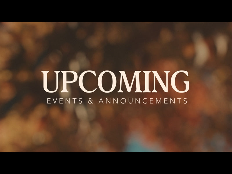 Beautyfall Upcoming