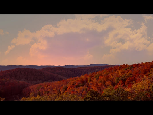 Wilderness Fall 10
