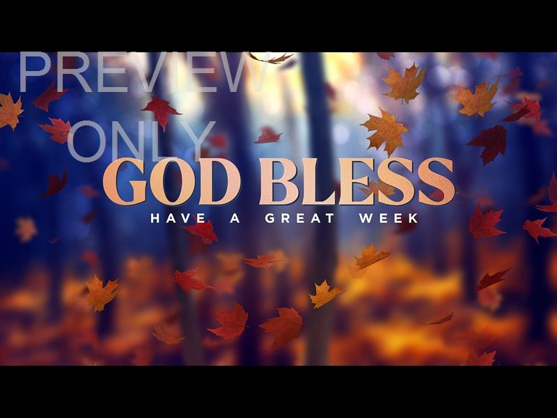 Fall Woods Close Still