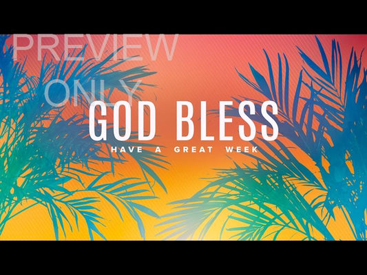 Sun Palms Close Still