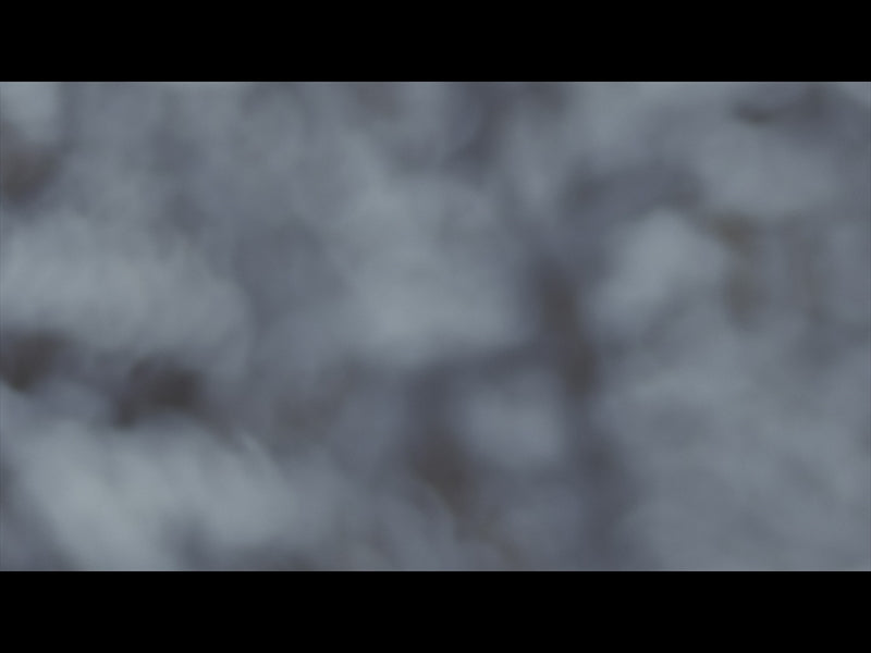 Be Still Loop 09