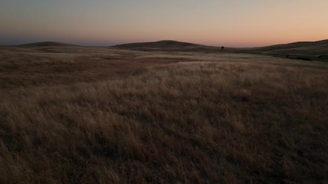 Golden Pastures Motion Background 18