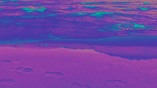 Electric Sunset 10 Alt