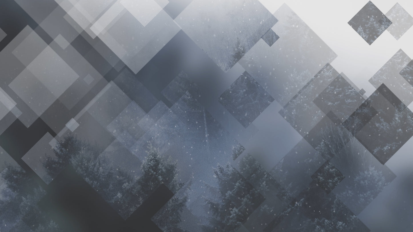 Winter Journey 03 Still