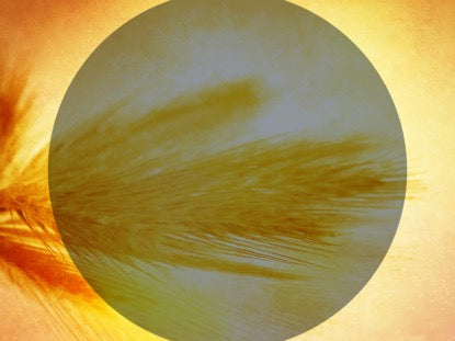 The Great Commission 5 Motion