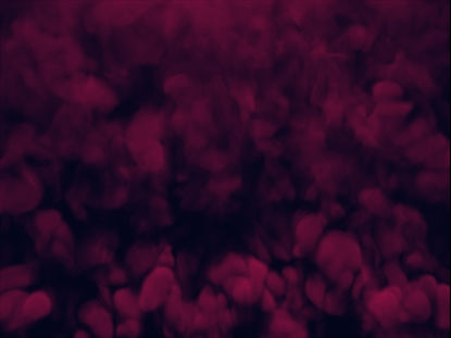 Vapor Rising Magenta Slow
