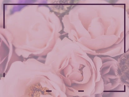 Womens Bible Study 2017