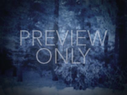 Winter Story 1 Still