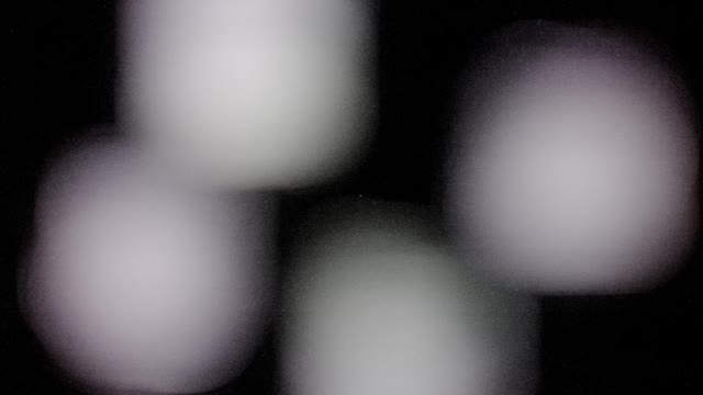 Faith in Focus 8