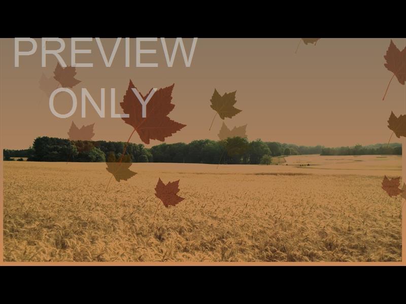 Harvest Background Still